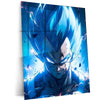 VEGETA – DbZ Metal Poster4