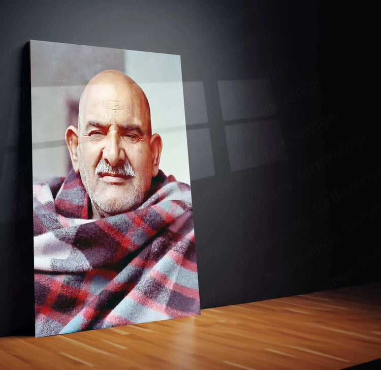 Neem Karoli Baba Metal Frame - A Divine Tribute 2 - TURTLEWINGS 