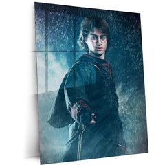 Harry Potter Metal Poster – Magical Wall Art | Wizarding World Decor 2