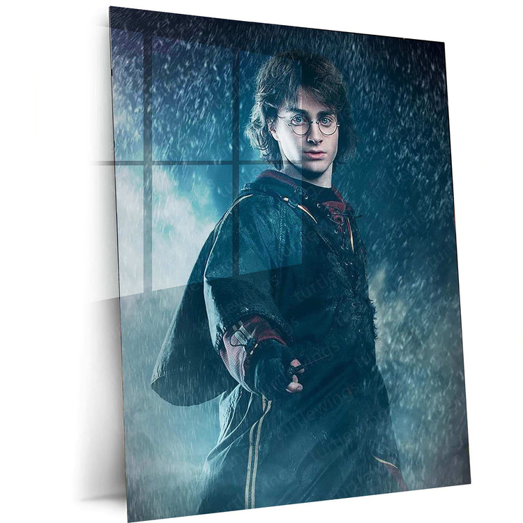 Harry Potter Metal Poster – Magical Wall Art | Wizarding World Decor 2 - TURTLEWINGS 