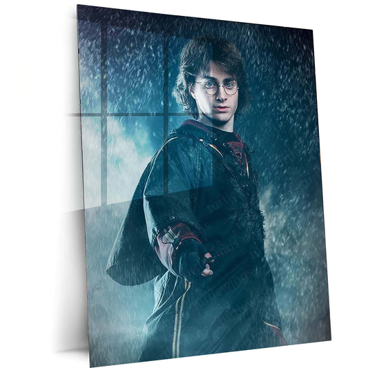 Harry Potter Metal Poster 3